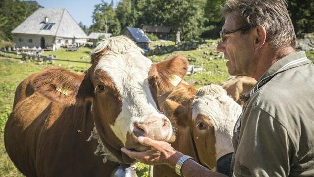 "Eisenstraße-Almen": Ohne die finanzielle Hilfe der Europäischen Union wären viele Projekte in unserer Region wohl kaum umsetzbar. | Foto: Theo Kust/imagefoto.at