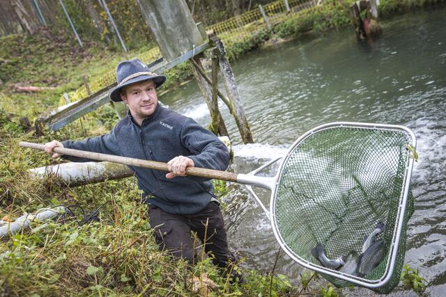 "Salmo": Ohne die finanzielle Hilfe der Europäischen Union wären viele Projekte in unserer Region wohl kaum umsetzbar. | Foto: Theo Kust/imagefoto.at
