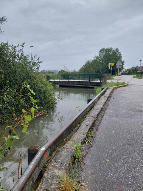 05.08.2023 - Feuerbach im Auenweg