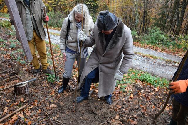 Lugners Bienchen Simone wollte mithelfen. | Foto: Patricia Hillinger/RMW