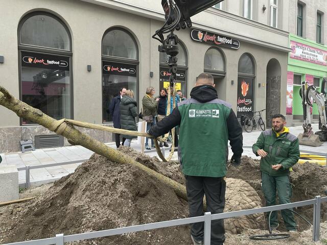 Foto: Tamara Wendtner