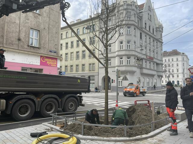 Foto: Tamara Wendtner