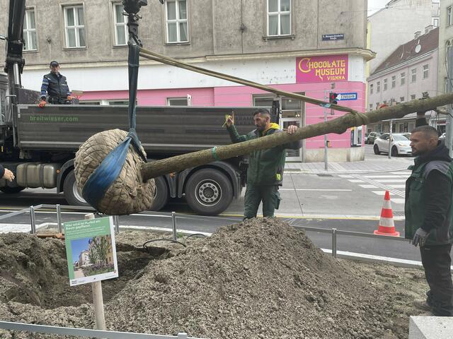 Foto: Tamara Wendtner