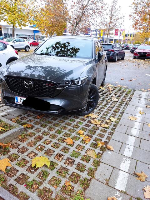 Etwas schräg geparkt. | Foto: zVg.