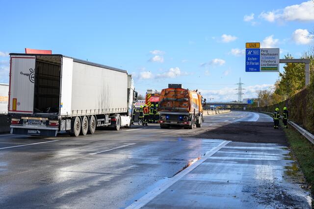 Foto: fotokerschi.at/Kerschbaummayr