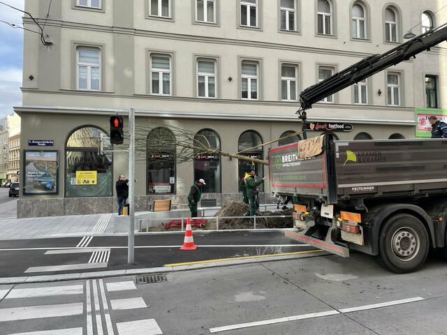 Foto: Tamara Wendtner
