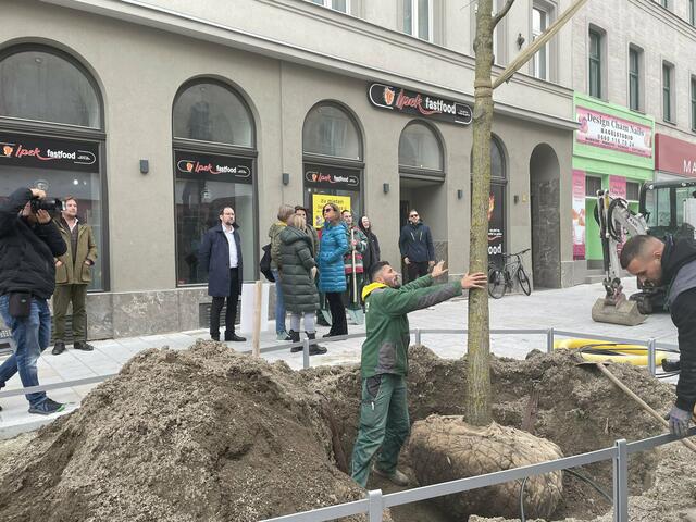 Foto: Tamara Wendtner