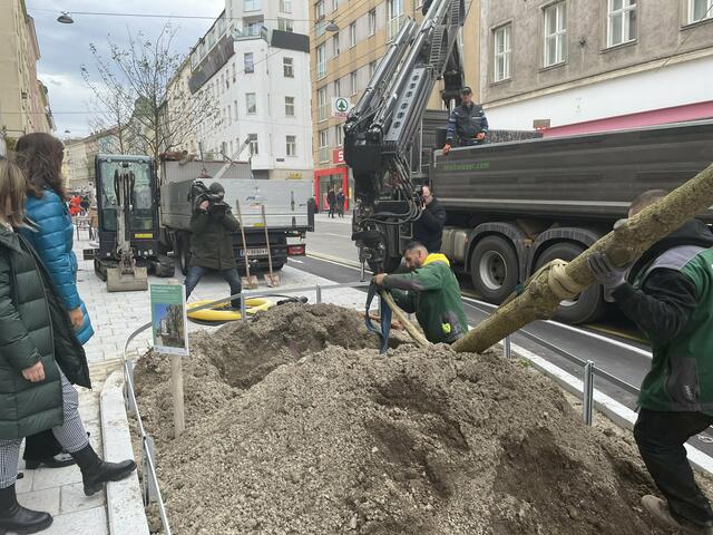 Foto: Tamara Wendtner