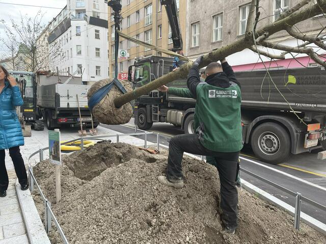 Foto: Tamara Wendtner