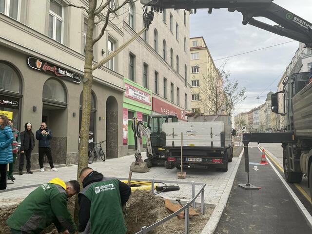 Foto: Tamara Wendtner
