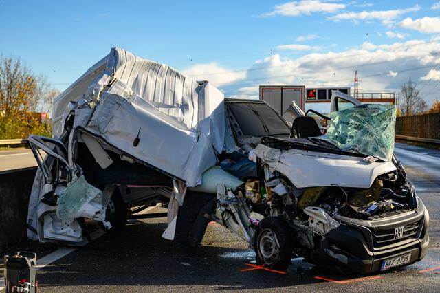 Foto: fotokerschi.at/Kerschbaummayr