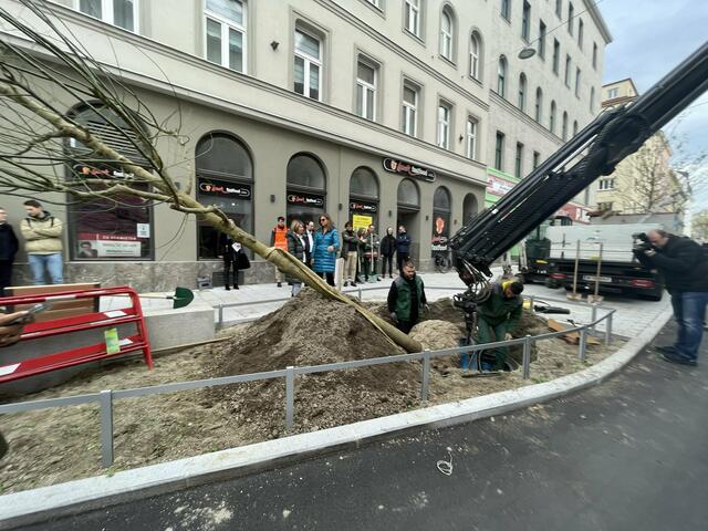 Foto: Tamara Wendtner