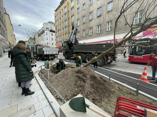 Foto: Tamara Wendtner
