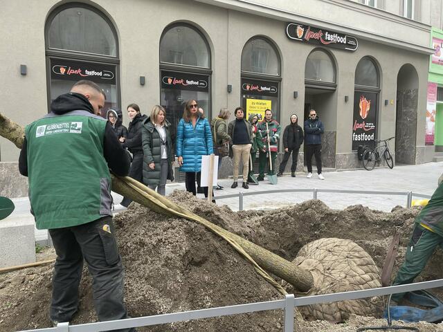 Foto: Tamara Wendtner