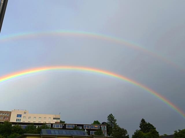 In Wien sind derzeit mehrere Regenbögen zu sehen.