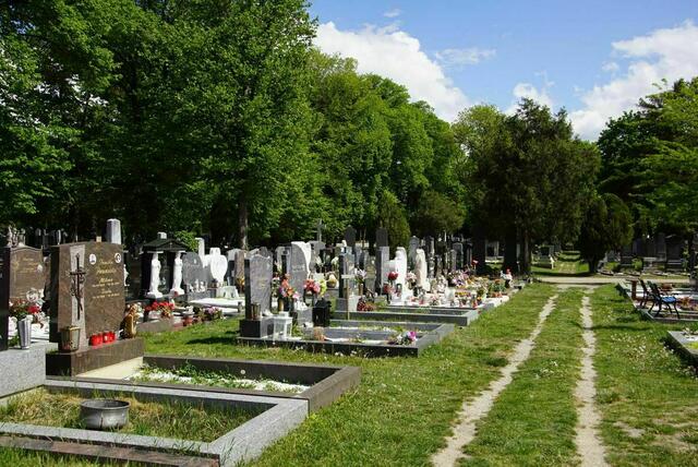 Seit Frühling dieses Jahres könnten Menschen Gemüsebeete auf dem Wiener Zentralfriedhof und dem Friedhof Südwest bewirtschaften. Die Nachfrage für die Grab-Beete war so groß, dass das Angebot nun erweitert wird. | Foto: Alois Fischer