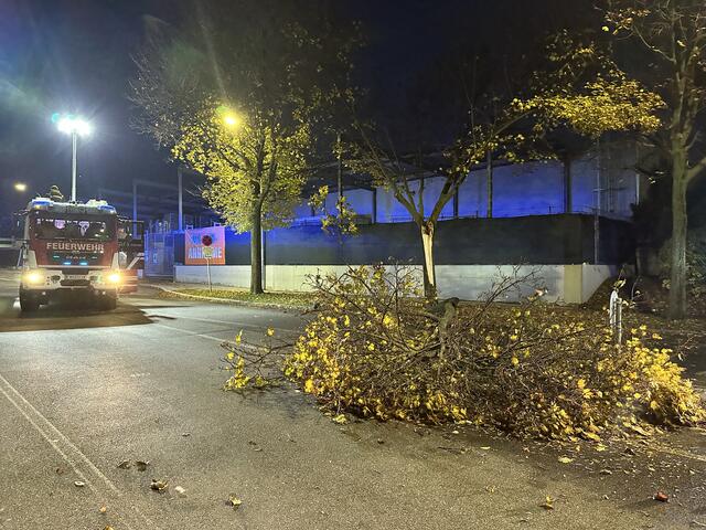 Die Feuerwehr Schwechat rückte an um den Baum zu entfernen. | Foto: FF Schwechat