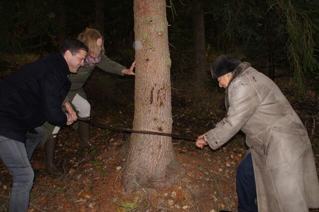 Traditionelles Christbaumschneiden mit Richard Lugner und Johann Gudenus in der malerischen Landschaft der Kremser Region.