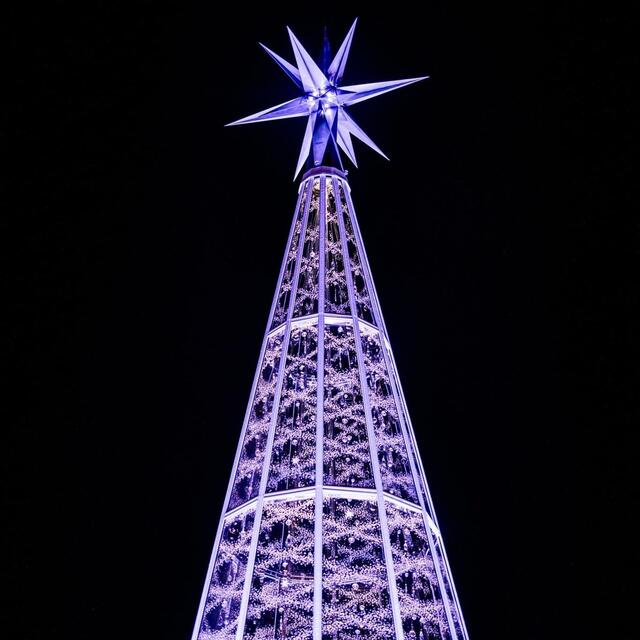 Der Swarovski Kristall-Christbaum leuchtet am Marktplatz. | Foto: BezirksBlätter