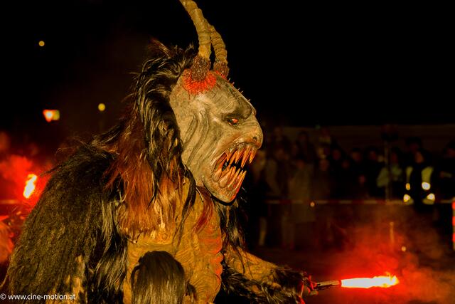 Foto: www.cine-motion.at / Ivanek