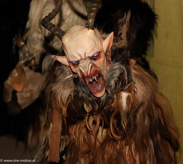 Foto: www.cine-motion.at / Ivanek