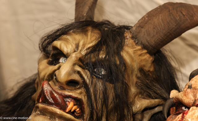 Foto: www.cine-motion.at / Ivanek