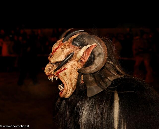 Foto: www.cine-motion.at / Ivanek