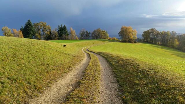 Foto: W. Horner