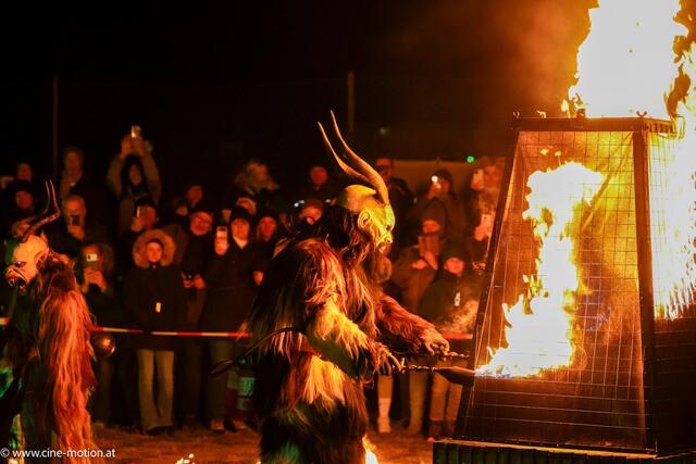 Foto: www.cine-motion.at / Ivanek