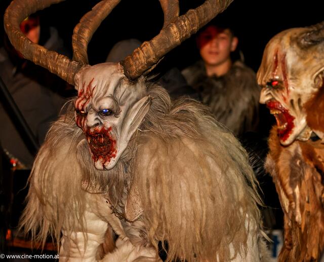 Foto: www.cine-motion.at / Ivanek