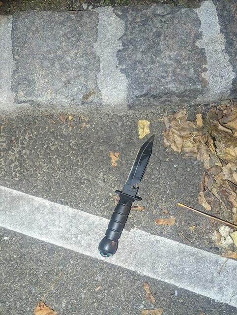 Das Kampfmesser wurde dem mutmaßlichen Täter abgenommen. Er wurde in der Goldschlagstraße festgenommen. | Foto: LPD