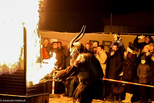 Foto: www.cine-motion.at / Ivanek