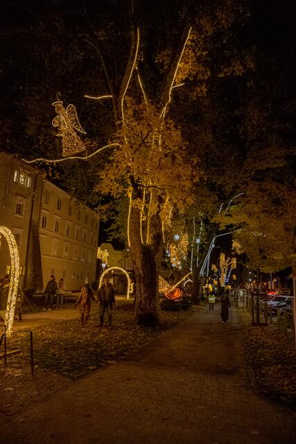 Foto: Tourismusverband Region Wels