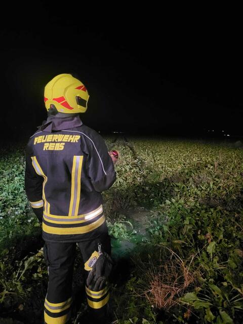 Remser Feuerwehrmitglieder auf der Suche nach dem 350-Kilo-Stier | Foto: Bfkdo Amstetten