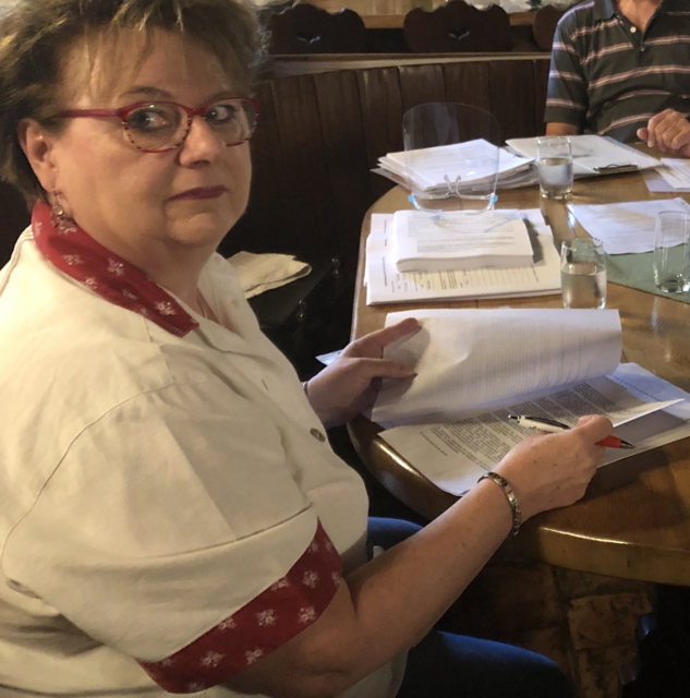 Gerlinde Brendinger, SPÖ-Gemeinderätin, sieht alarmierende Zahlen im Badener Budget für 2024 | Foto: Stockmann/Archiv