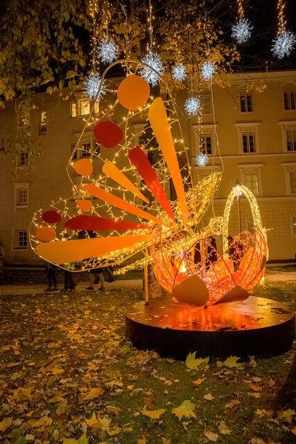 Foto: Tourismusverband Region Wels
