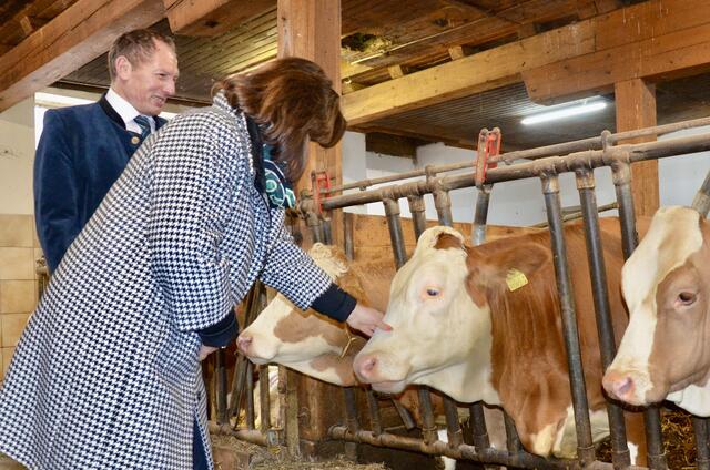 Foto: Elisabeth Peinsipp