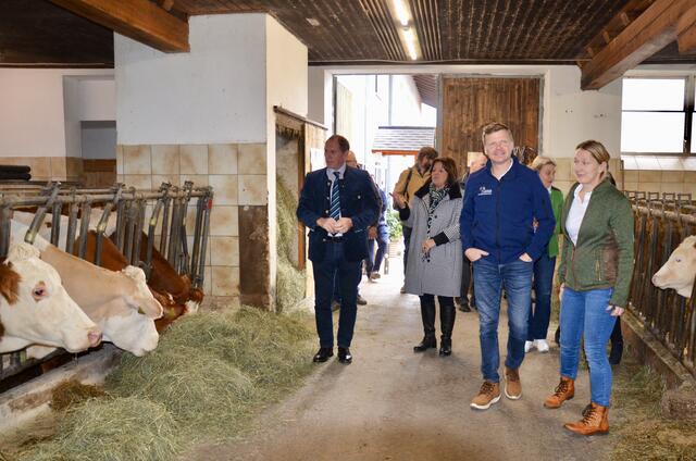 Foto: Elisabeth Peinsipp