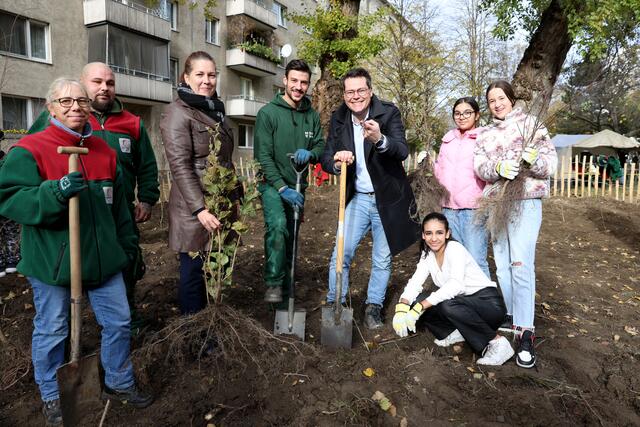 In der Pappenheimgasse soll ein sogenanntes "Wiener Wäldchen" heranwachsen. | Foto: Christian Votava