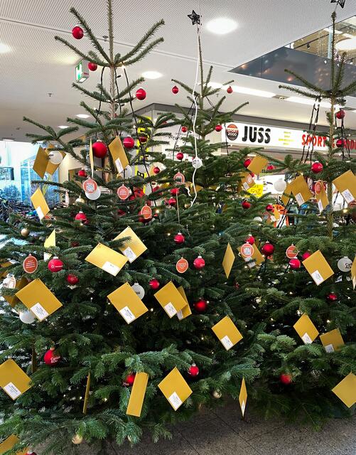 Auch in diesem Jahr wurden die wunderschönen Weihnachtsbäume von der Gemeinde Bischofshofen gespendet. | Foto: Stefan Schubert