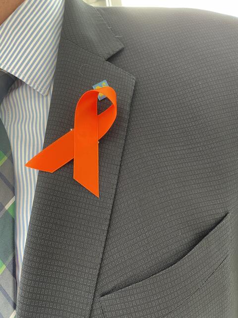 Orange the World ist auch im Landtag angekommen | Foto: meinbezirk.at