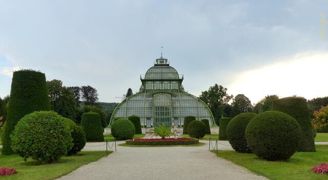 In 141 Jahren um die Welt geht's im Großen Palmenhaus. | Foto: Christa Posch