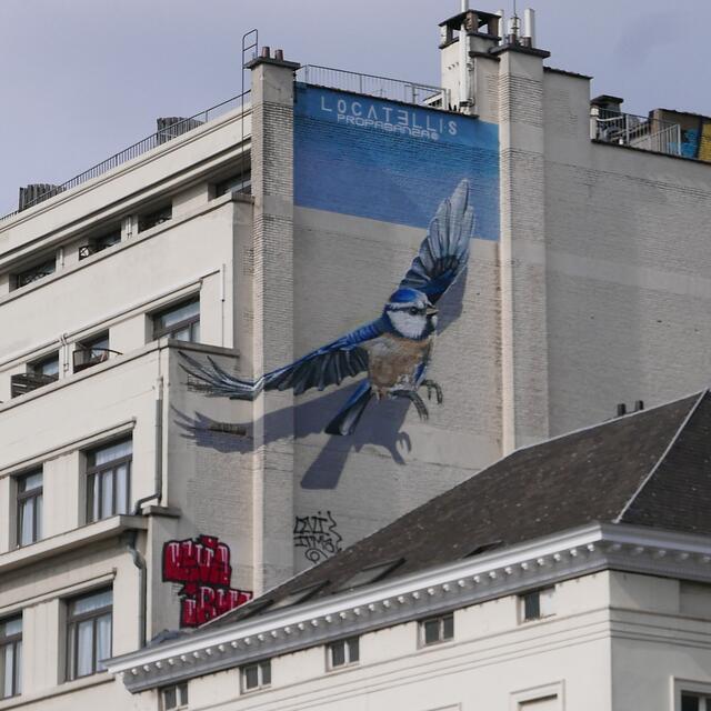 Graffities in Brüssel. | Foto: privat
