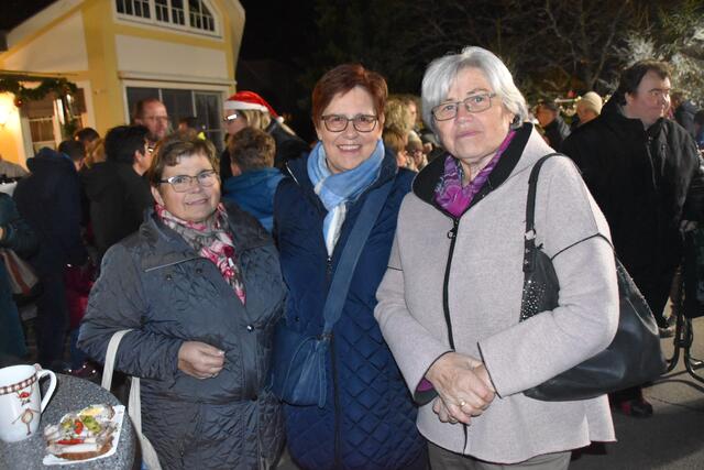 Ingrid Trinkl, Waltraud Beranek und Juliana Rink (von links) | Foto: RegionalMedien
