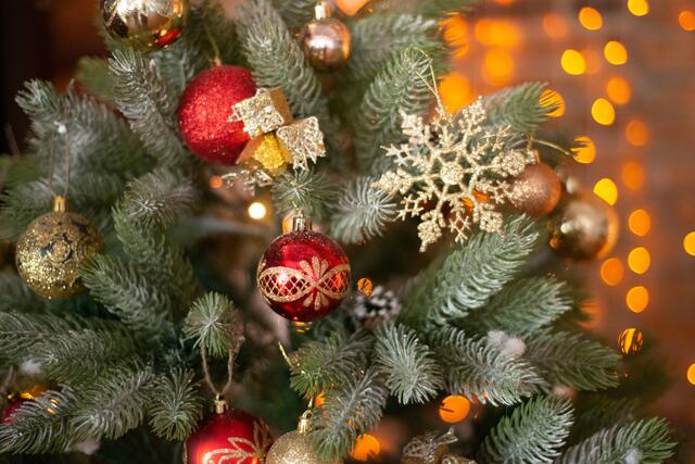 Christbaum | Foto: PantherMedia/zaktatyana
