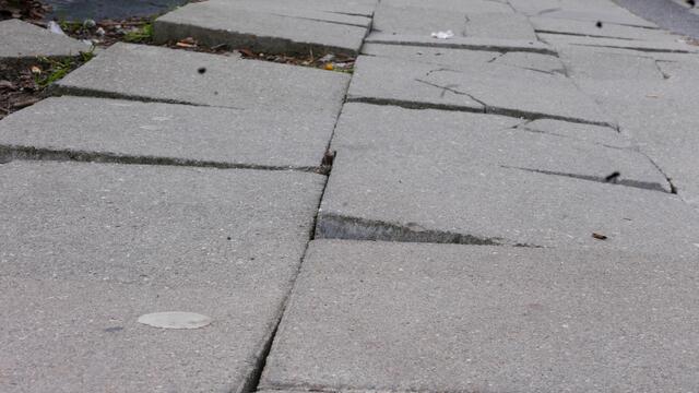 Brüssel Kommunal... | Foto: privat
