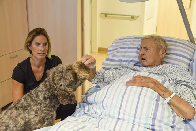 Therapiehund Prion ist neuer fixer Bestandteil an der Palliativstation im Krankenhaus Eisenstadt.  | Foto: KHBB Eisenstadt