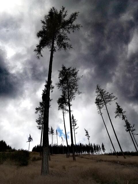 Dem Wetter trotzen - Mönichkirchner Schwaig