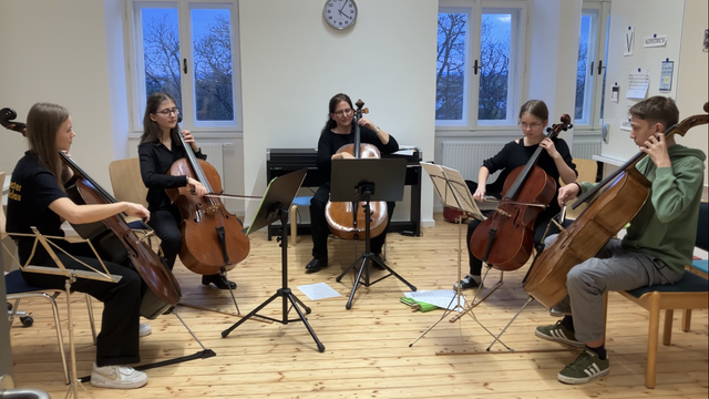 Auch Violoncello wird an der Musikschule Schloss Gainfarn unterrichtet | Foto: Stockmann