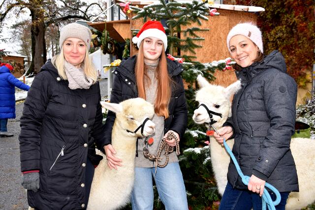 Stimmungsvolle Adventausstellung auf Burg Bad Kreuzen 2023. Sabine und Lara Furchtlehner von den Mondstein-Alpakas und engagierte Veranstalterin Maria Aichinger-"Tourismus Mitzi".  | Foto: Robert Zinterhof
